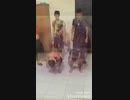 funny video troll laugh for gags