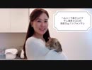 公開中♡ヘルシーで高タンパク！干し海老と〇〇の免疫力up！シフォン・サレ