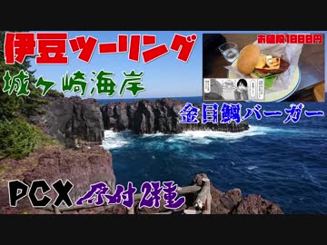 【#PCX】#原付2種 伊豆ツーリング　「あまんちゅ」聖地巡礼