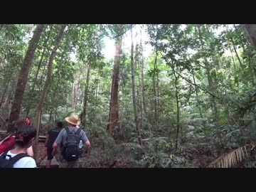 2018 タイ・マレーシア 旅行記 #16