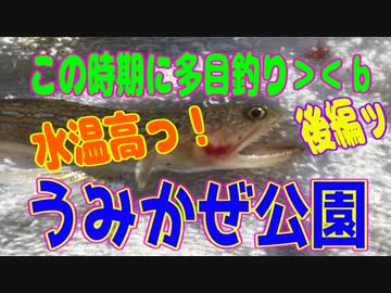釣り動画ロマンを求めて 206釣目（後編：うみかぜ公園)