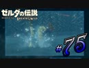 新作ゼルダを風タクしかやったことないうp主がプレイしてしまった part75