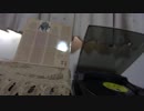 Jay & The Americans/Walkin' In The Rain/恋の雨音/(Stereo)