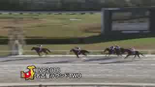 2018年11月15日名古屋競馬10R ＬＶＲ名古屋ラウンドＴＷＯ(B級) エスペレラヴニール