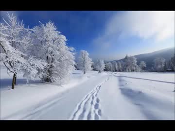 【癒し】雪の上を歩く音《60分》（睡眠用BGM・作業用BGM・ASMR）
