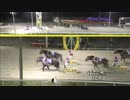 2018年11月17日帯広競馬10R 羊蹄山特別(A2) ツルイテンリュウ