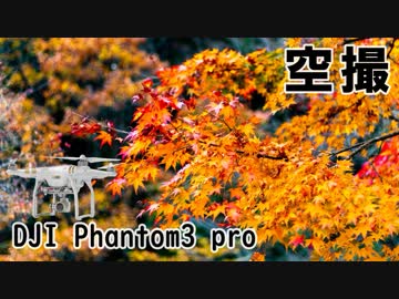 紅葉空撮-天川 Aerial view of TENKAWA