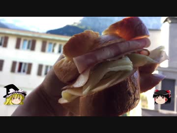 【ゆっくり】チキンの旅日誌　スイス  グルメ旅行㉑　帰国編