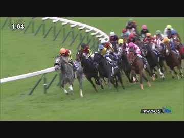 2018年　第35回 マイルCS（GⅠ）【ステルヴィオ】