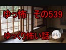 【ゆっ怖】ゆっくり怖い話・その539【怪談】