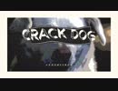 Crack Dog / 初音ミク