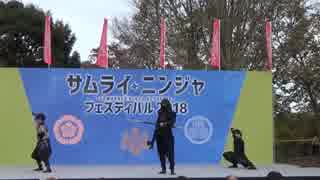 【安芸ひろしま武将隊忍び衆】2018.11.18／サムライニンジャフェスティバル2018