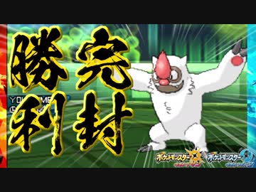 きせきヤルキモノが奇跡を起こす。【ポケモンUSUM】