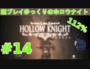 【Hollow Knight】既プレイゆっくりの