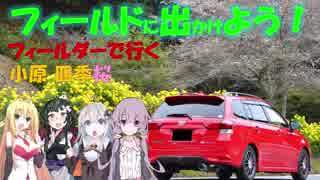 【フィールドに出かけよう！】フィールダーで行く 小原 四季桜【VOICEROID車載】