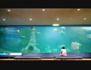 白浜旅行2018、その１