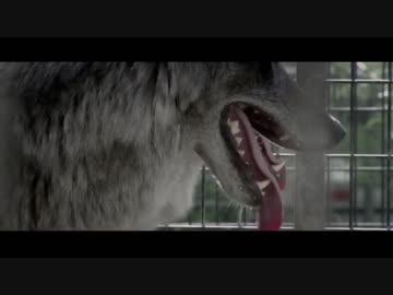 ホモと学ぶ野獣の恐ろしさ