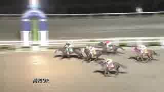 2018年11月18日高知競馬9R A・B混合 クレスタラン