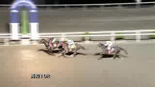 2018年11月18日高知競馬10R A-2組 クインズトロブラボ