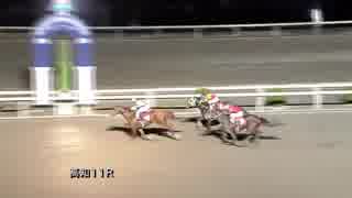 2018年11月18日高知競馬11R オパール特別(A-1組) ティアップリバティ