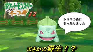 【レッツゴー　イーブイ】『まさかの出会い！』　トキワシティ～2番道路 【Let's Go!ピカチュウ/イーブイ】