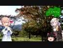 あかりとそらの福島でキャンプする動画　ふくキャン　水林自然林編　前半