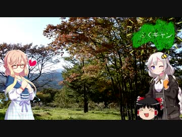 あかりとそらの福島でキャンプする動画　ふくキャン　水林自然林編　前半