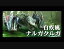 【初見】目指せ全モンスター討伐！もっとくろーするMHXX実況！　２６狩り目（前編）