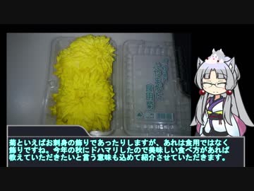イタコの食卓　1.5話　コメント返しと食用菊