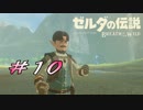 【ゼルダ実況】その笑顔..........80えぇぇぇぇぇぇん！   #10 【ゼルダの伝説ブレスオブザワイルド】