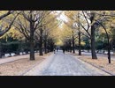 2018年11月19日1枠目　 曇りの日だから光が丘公園の紅葉の様子でも見に行こう