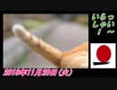 16A桜井誠、きまぐれ オレンジ☆ラジオ。菜々子の独り言　2018年11月21日(水）