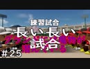 【６年目】関東のスナイパー【栄冠ナイン】＃２５