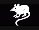 Rat