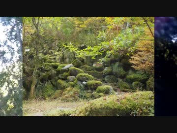 秋休みなので高知ツーリング　三日目-酷道439-