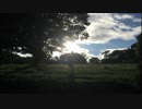 【歌ってみた】endrole【前野】