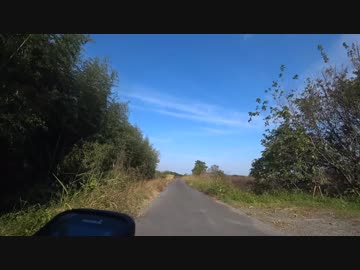 チャリ動画　利根川周辺