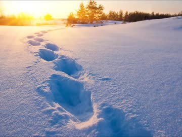 【癒し】雪を踏むときの音（睡眠用BGM・作業用BGM・ASMR）