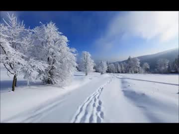 【癒し】雪の上を歩く音《60分》（睡眠用BGM・作業用BGM・ASMR）