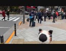 わかります、あなたはペンペン氏、Nintendo Switchを買いに行く。①です☆