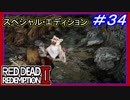 【【借りは狩りで返す気か！？】】#34 RED DEAD REDEMPTION 2：スペシャルエディション【ホワイトクーガーを狩る】