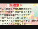 狐と獅子の反省遠征記録【第９回】