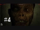 【ホラー実況】恐怖の押し売り【Outlast】#4