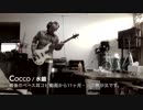 【地味選曲】水鏡 / Cocco【ゆるベース #32】