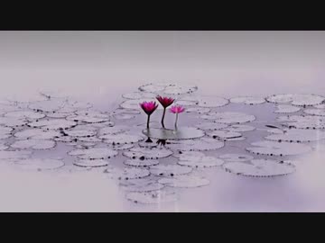 ロータスサンクチュアリ【歌ってみた】ふぃん