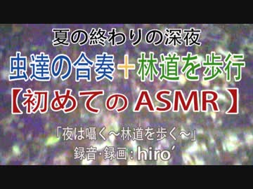 【ASMR】虫達の合奏の中、林道を歩く【夏の終わりの夜】