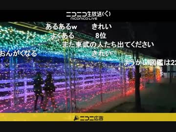 ぶらり園内散歩 トミー君 2018/11/23【コメ付き】