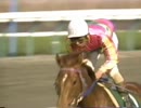 【競馬】 1999年 毎日杯 テイエムオペラオー