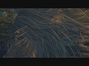 【Bloodborne】ほどほどに縛りプレイ　#020