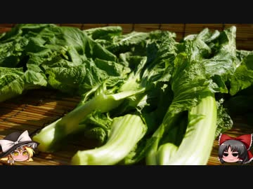 ゆっくりの田舎と自然　２８話「葉は色づき、秋肥ゆる」後編